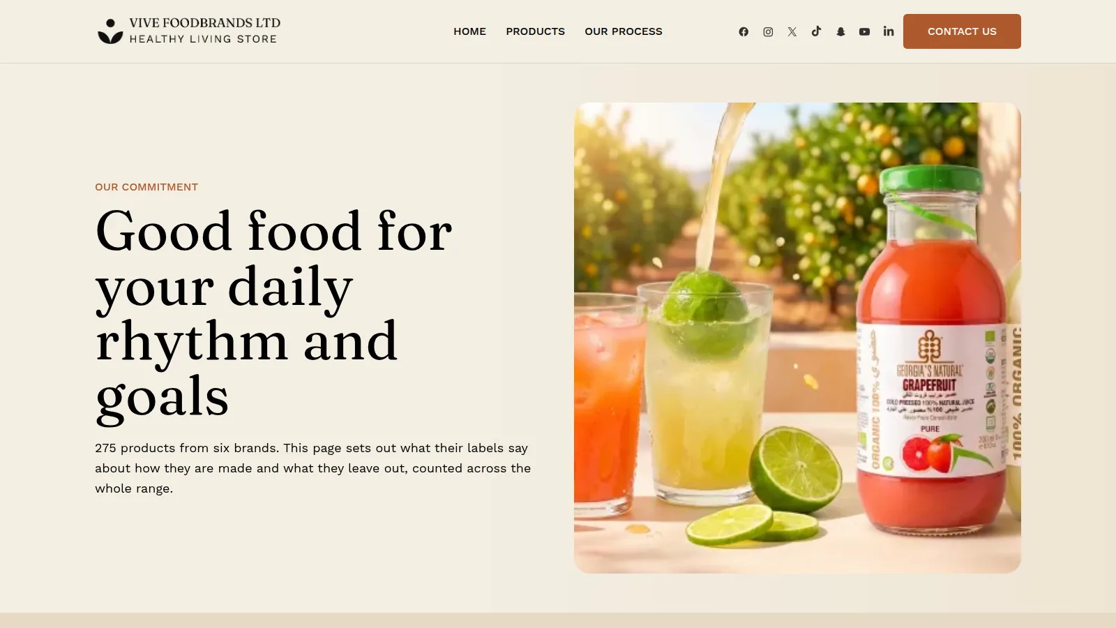 The Our Process page, on the Vive Foodbrands website designed and built by WebOws Design